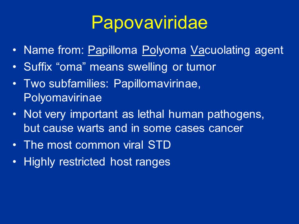 human papilloma virus papovavirus)