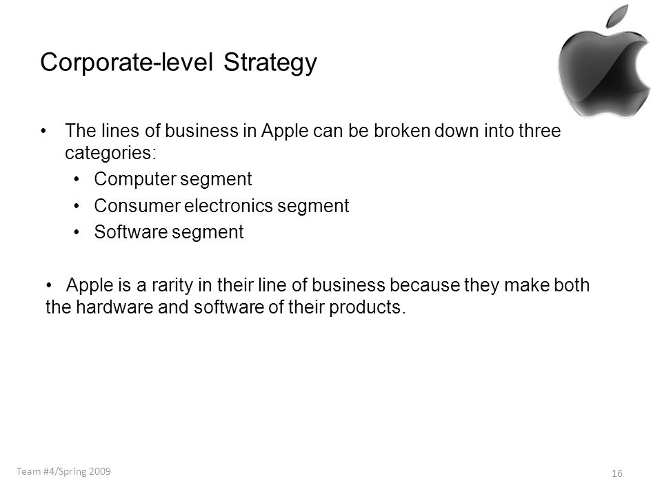 Corporate-level Strategy The lines of business in Apple can be broken down into three categories: Computer segment Consumer electronics segment Software segment 16 Apple is a rarity in their line of business because they make both the hardware and software of their products.