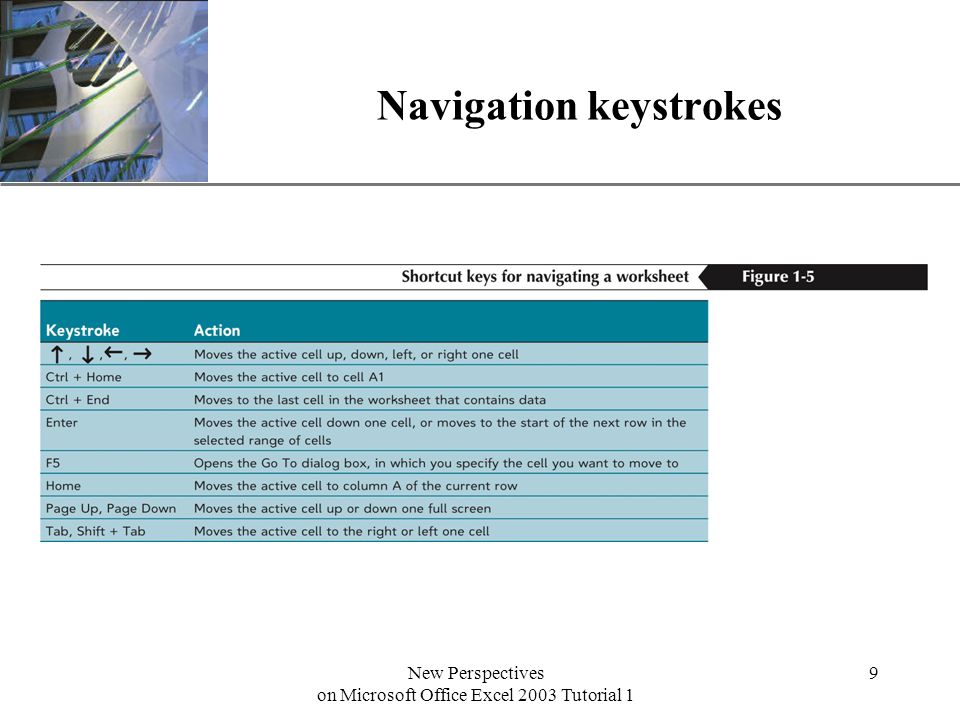 XP New Perspectives on Microsoft Office Excel 2003 Tutorial 1 9 Navigation keystrokes