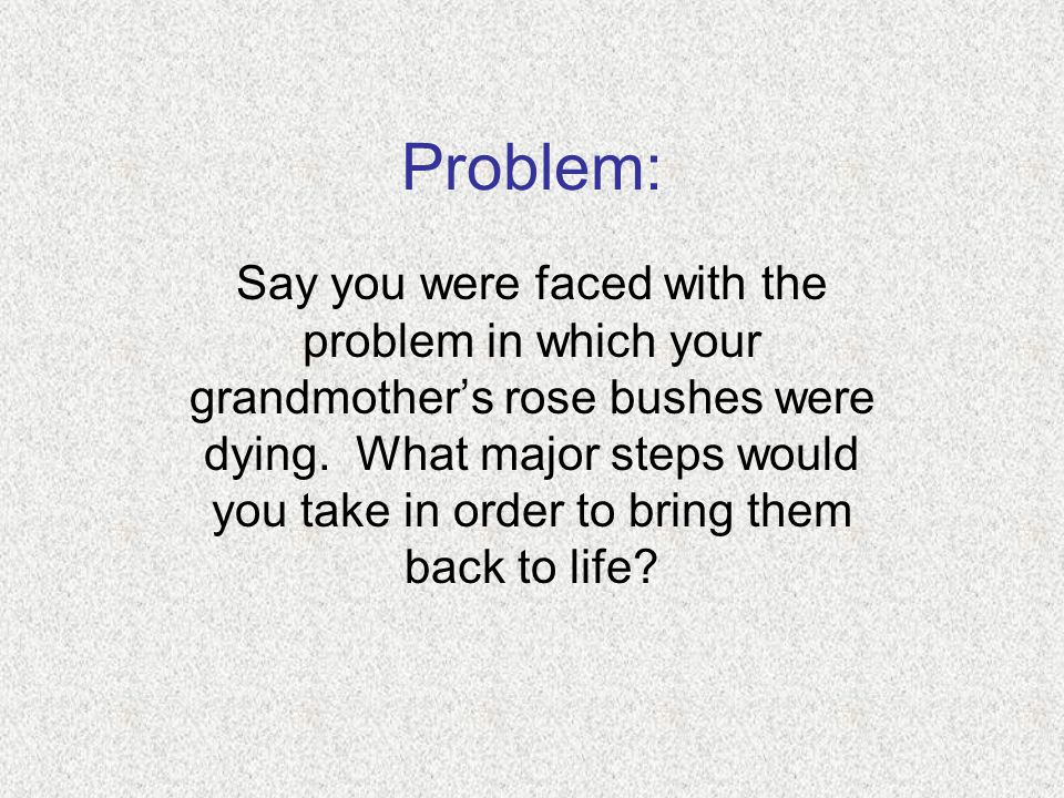 Problem: Say you were faced with the problem in which your grandmother’s rose bushes were dying.