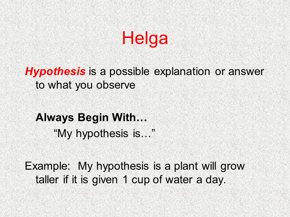 Helga Hypothesis is a possible explanation or answer to what you observe Always Begin With… My hypothesis is… Example: My hypothesis is a plant will grow taller if it is given 1 cup of water a day.