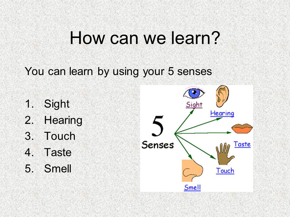 How can we learn You can learn by using your 5 senses 1.Sight 2.Hearing 3.Touch 4.Taste 5.Smell