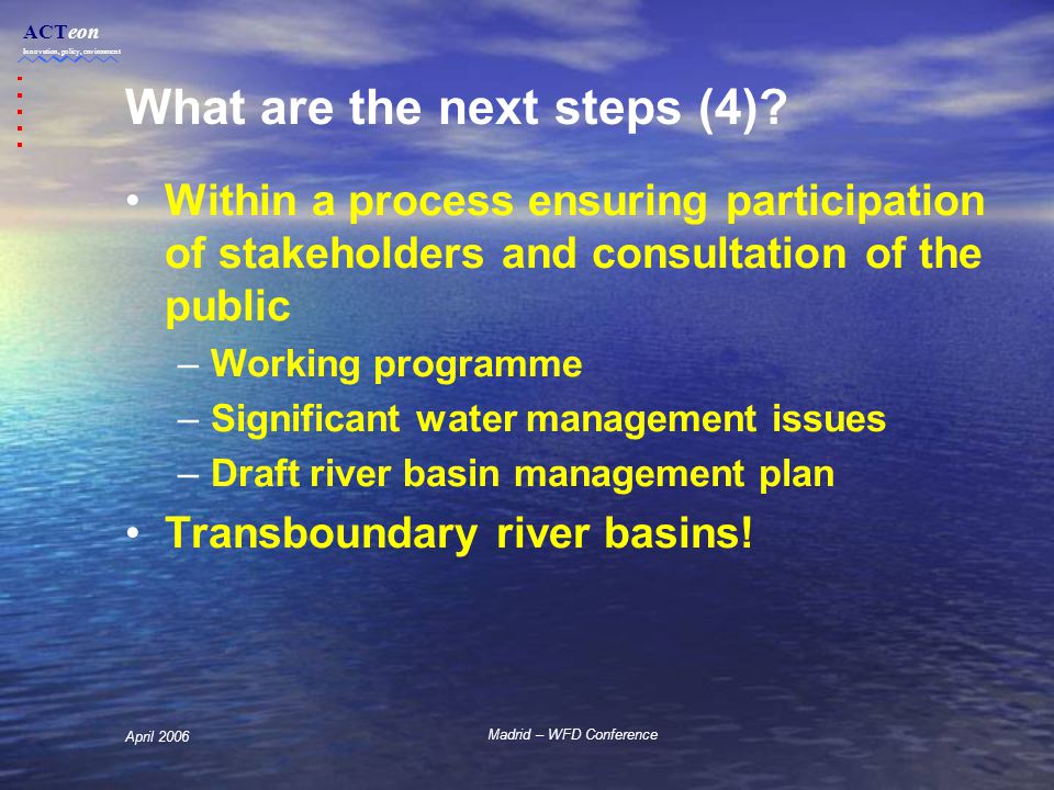 ACTeon Innovation, policy, environment Madrid – WFD Conference April 2006 What are the next steps (4).