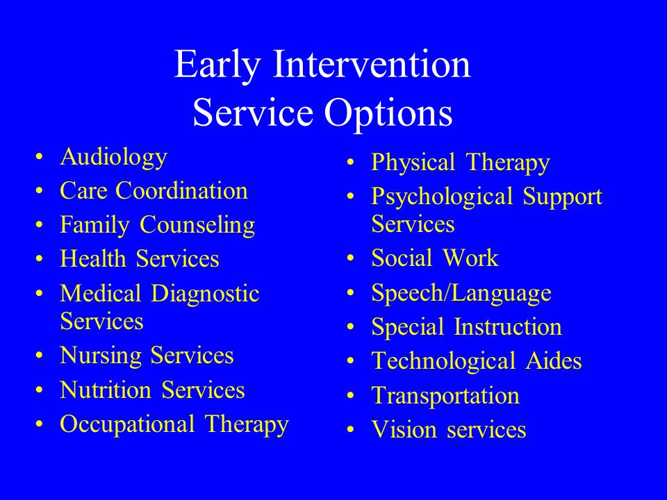A USER’S GUIDE TO EARLY INTERVENTION SERVICES Seminar II Simple Ways to Ensure Children Get Needed Early Intervention Services