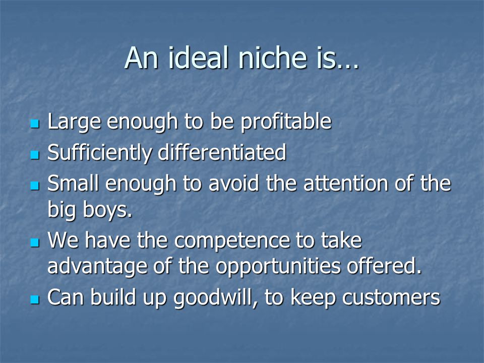 An ideal niche is… Large enough to be profitable Large enough to be profitable Sufficiently differentiated Sufficiently differentiated Small enough to avoid the attention of the big boys.