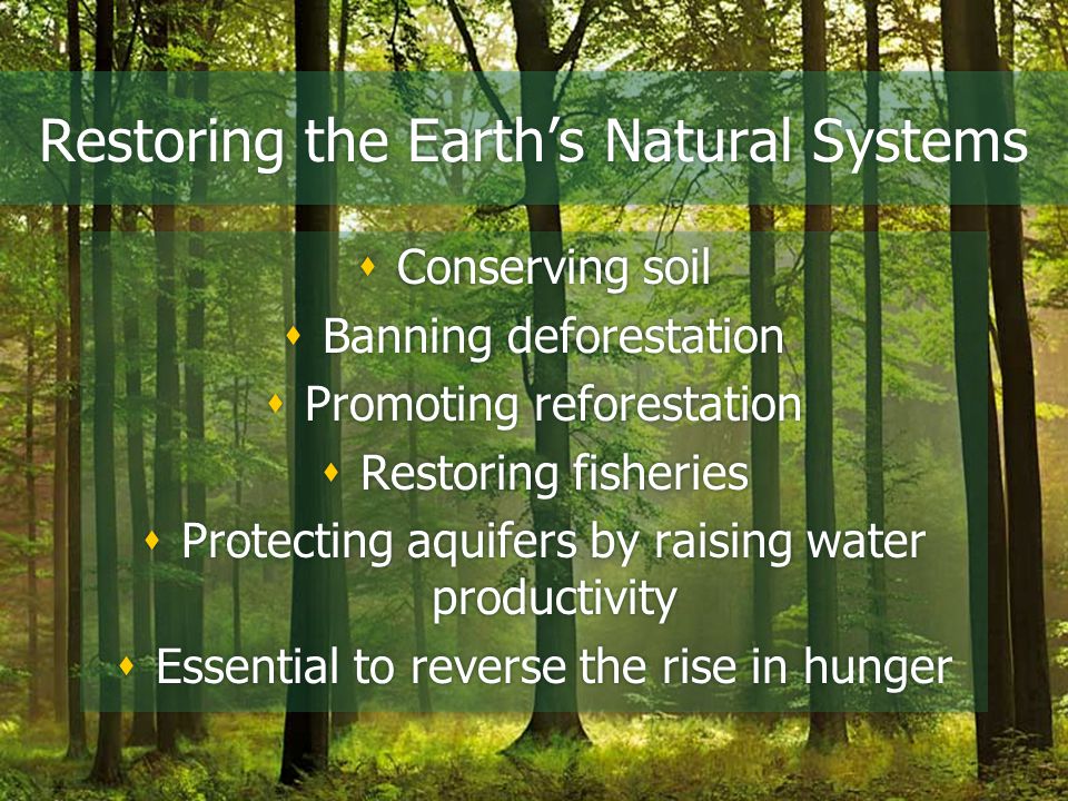 Restoring the Earth’s Natural Systems  Conserving soil  Banning deforestation  Promoting reforestation  Restoring fisheries  Protecting aquifers by raising water productivity  Essential to reverse the rise in hunger  Conserving soil  Banning deforestation  Promoting reforestation  Restoring fisheries  Protecting aquifers by raising water productivity  Essential to reverse the rise in hunger