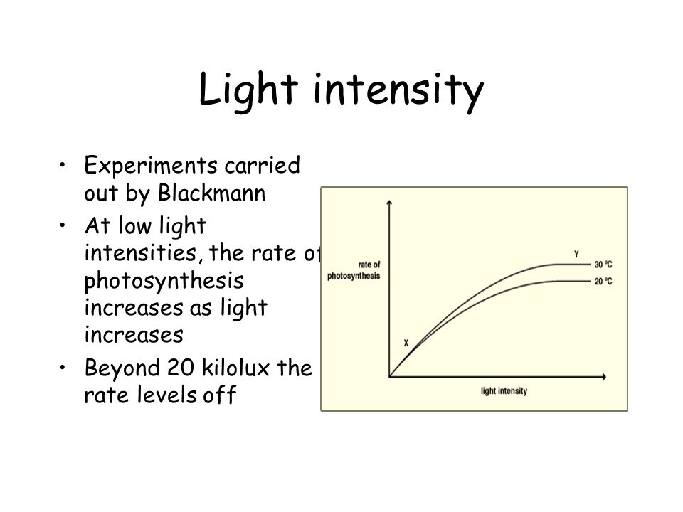 rate of photosynthesis and light intensity experiment