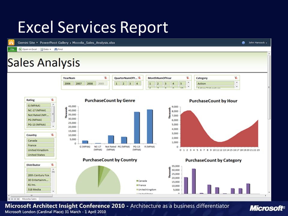 Excel Services Report 22