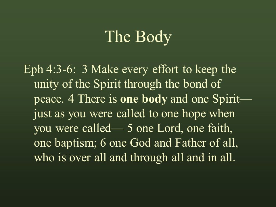 The Body Eph 4:3-6: 3 Make every effort to keep the unity of the Spirit through the bond of peace.