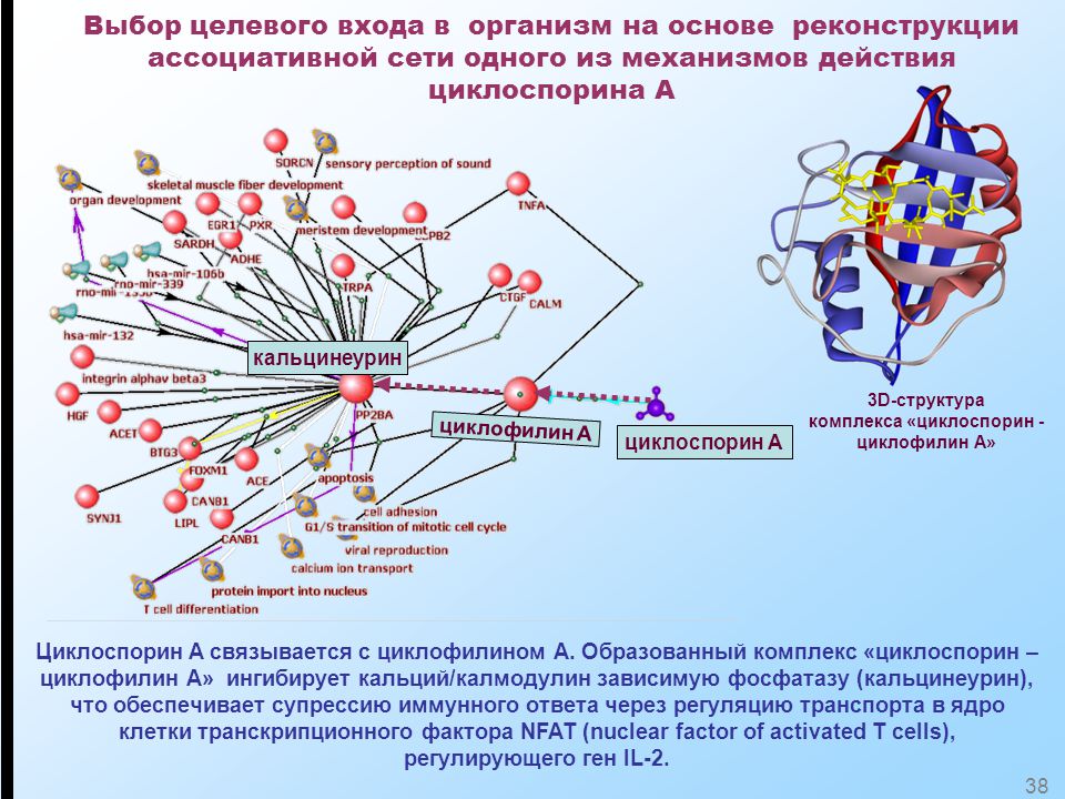 Что значит подколодная карта