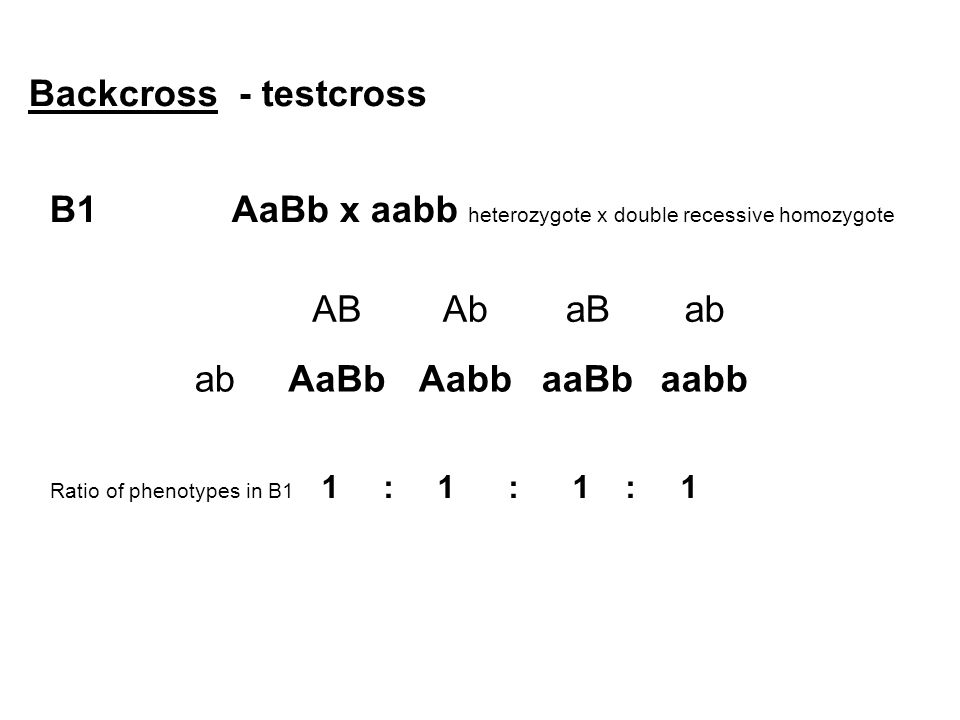 aabb crossed with aabb