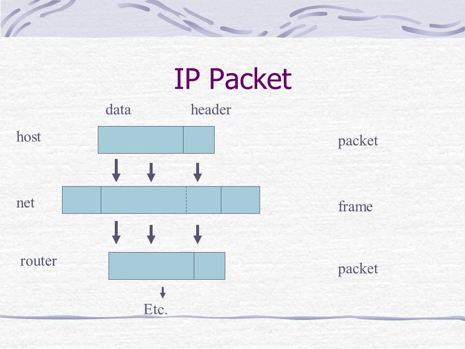 IP Packet dataheader packet frame packet host net router Etc.