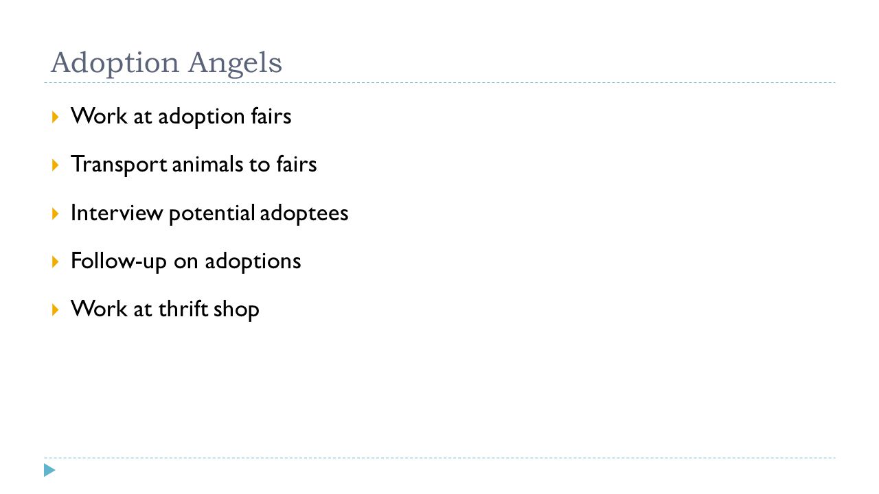 Adoption Angels  Work at adoption fairs  Transport animals to fairs  Interview potential adoptees  Follow-up on adoptions  Work at thrift shop