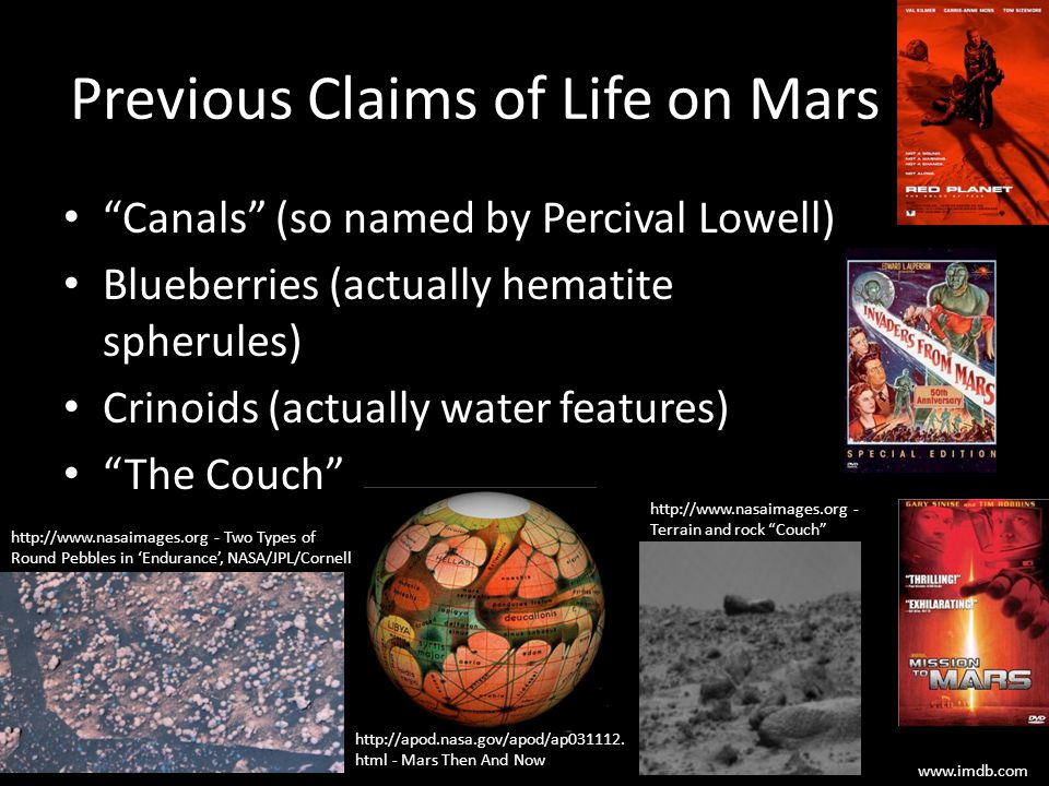 Previous Claims of Life on Mars Two Types of Round Pebbles in ‘Endurance’, NASA/JPL/Cornell