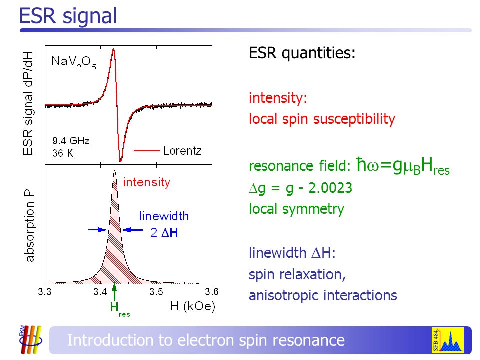 ESR signal ESR quantities: intensity: local spin susceptibility resonance field: ħ  =g  B H res  g = g local symmetry linewidth  H: spin relaxation, anisotropic interactions Introduction to electron spin resonance