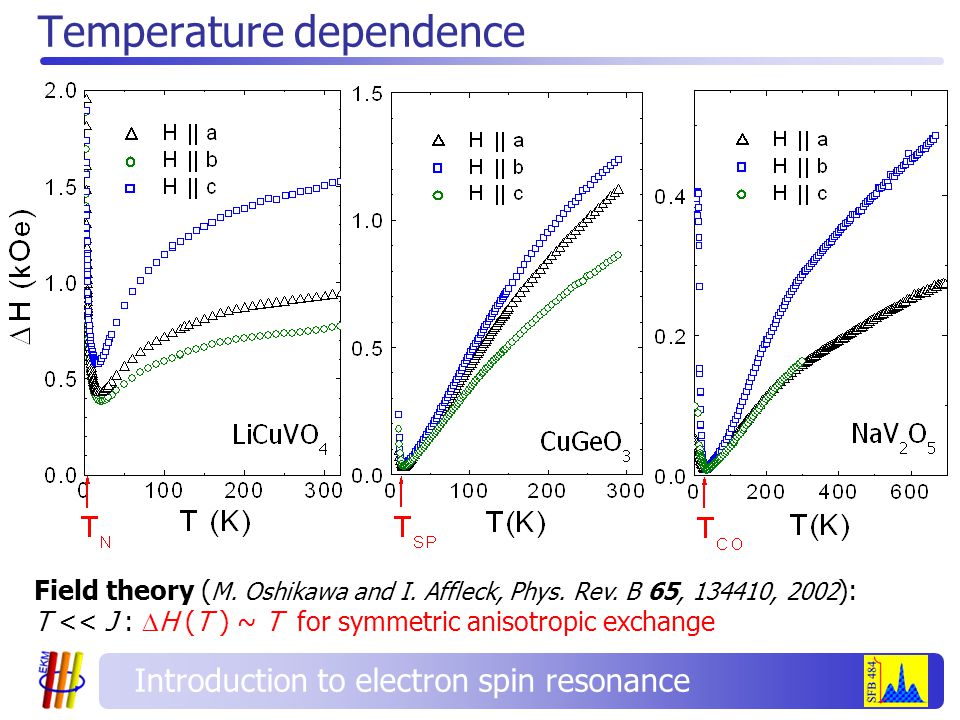 Temperature dependence Field theory ( M. Oshikawa and I.