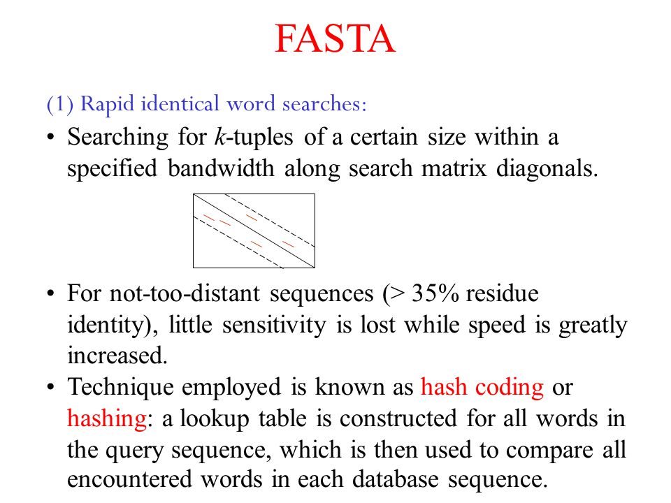 FASTA (1) Rapid identical word searches: Searching for k-tuples of a certain size within a specified bandwidth along search matrix diagonals.