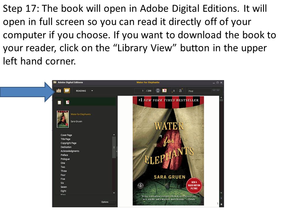 Step 17: The book will open in Adobe Digital Editions.
