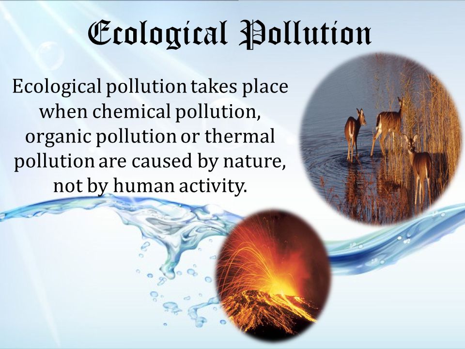 Ecological Pollution Ecological pollution takes place when chemical pollution, organic pollution or thermal pollution are caused by nature, not by human activity.
