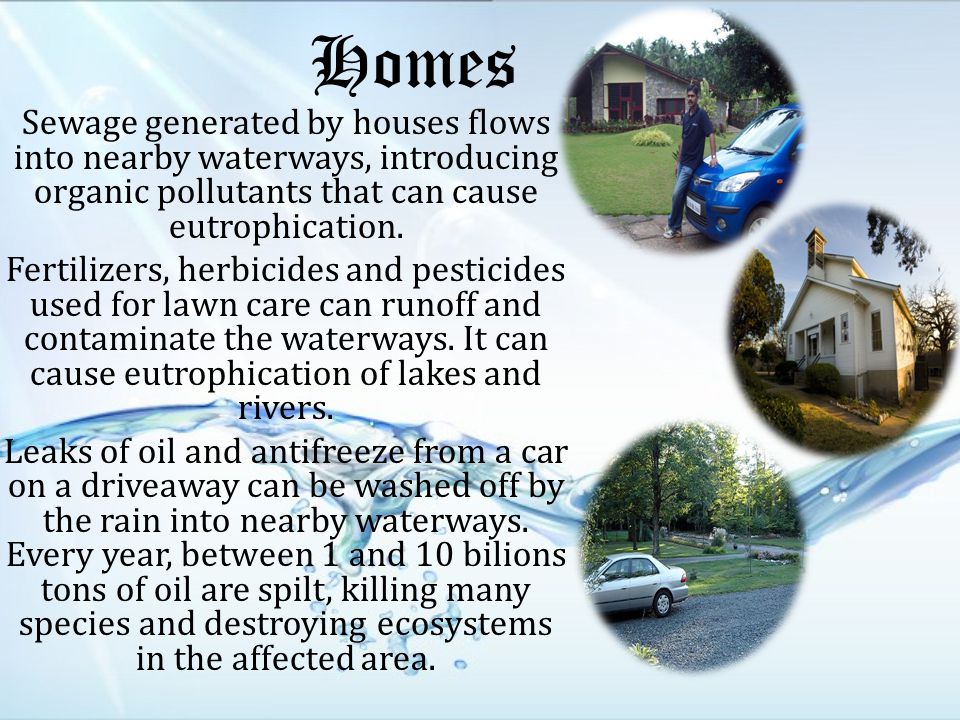 Homes Sewage generated by houses flows into nearby waterways, introducing organic pollutants that can cause eutrophication.