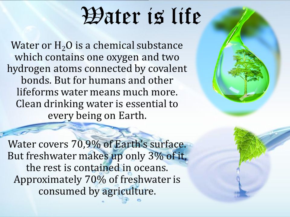 Water is life Water or H 2 O is a chemical substance which contains one oxygen and two hydrogen atoms connected by covalent bonds.