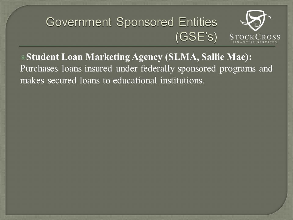  Student Loan Marketing Agency (SLMA, Sallie Mae): Purchases loans insured under federally sponsored programs and makes secured loans to educational institutions.
