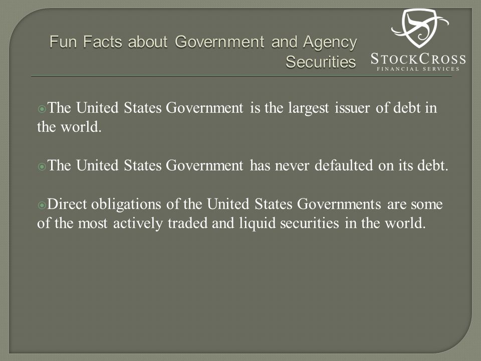  The United States Government is the largest issuer of debt in the world.