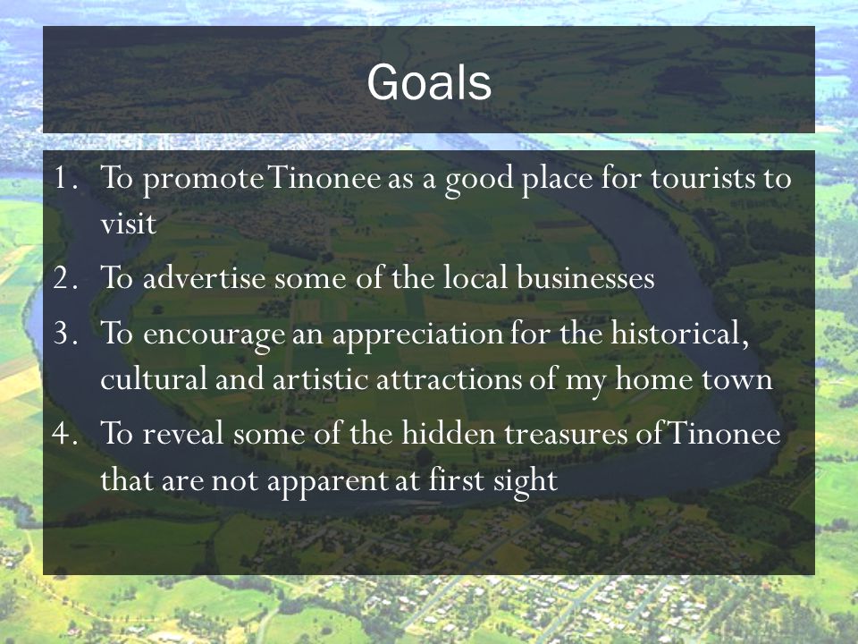 Goals 1.To promote Tinonee as a good place for tourists to visit 2.To advertise some of the local businesses 3.To encourage an appreciation for the historical, cultural and artistic attractions of my home town 4.To reveal some of the hidden treasures of Tinonee that are not apparent at first sight