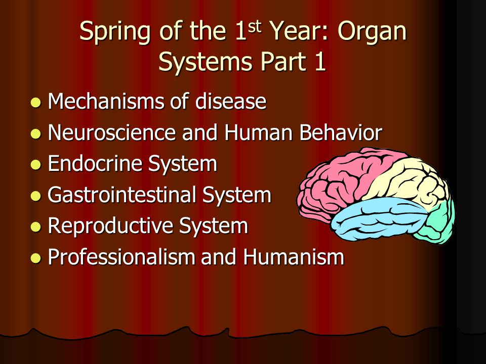 Spring of the 1 st Year: Organ Systems Part 1 Mechanisms of disease Mechanisms of disease Neuroscience and Human Behavior Neuroscience and Human Behavior Endocrine System Endocrine System Gastrointestinal System Gastrointestinal System Reproductive System Reproductive System Professionalism and Humanism Professionalism and Humanism