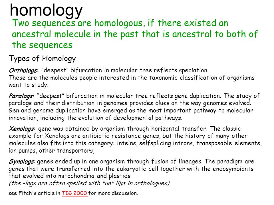 homology Two sequences are homologous, if there existed an ancestral molecule in the past that is ancestral to both of the sequences Types of Homology Orthologs: deepest bifurcation in molecular tree reflects speciation.