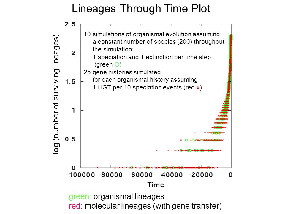 green: organismal lineages ; red: molecular lineages (with gene transfer) Lineages Through Time Plot 10 simulations of organismal evolution assuming a constant number of species (200) throughout the simulation; 1 speciation and 1 extinction per time step.
