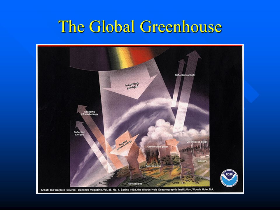 The Global Greenhouse