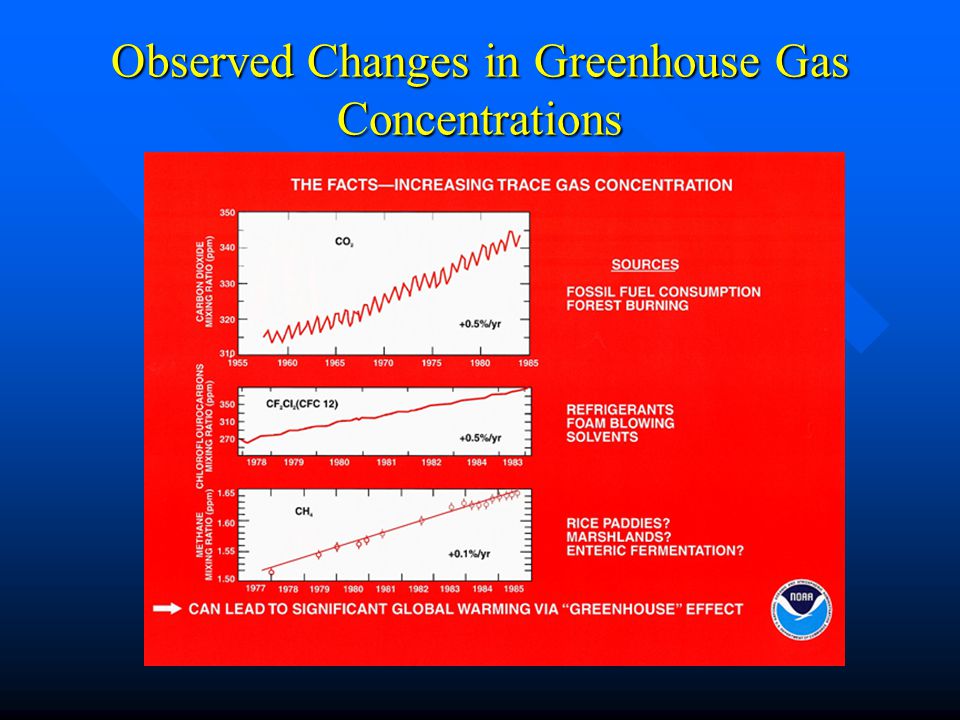 Observed Changes in Greenhouse Gas Concentrations