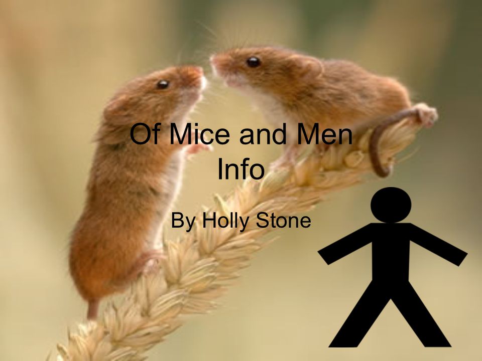 Of Mice and Men Info By Holly Stone
