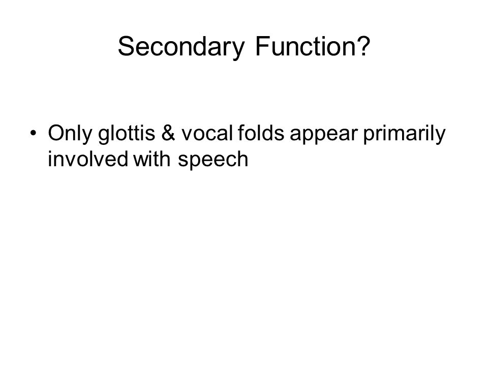 Secondary Function Only glottis & vocal folds appear primarily involved with speech