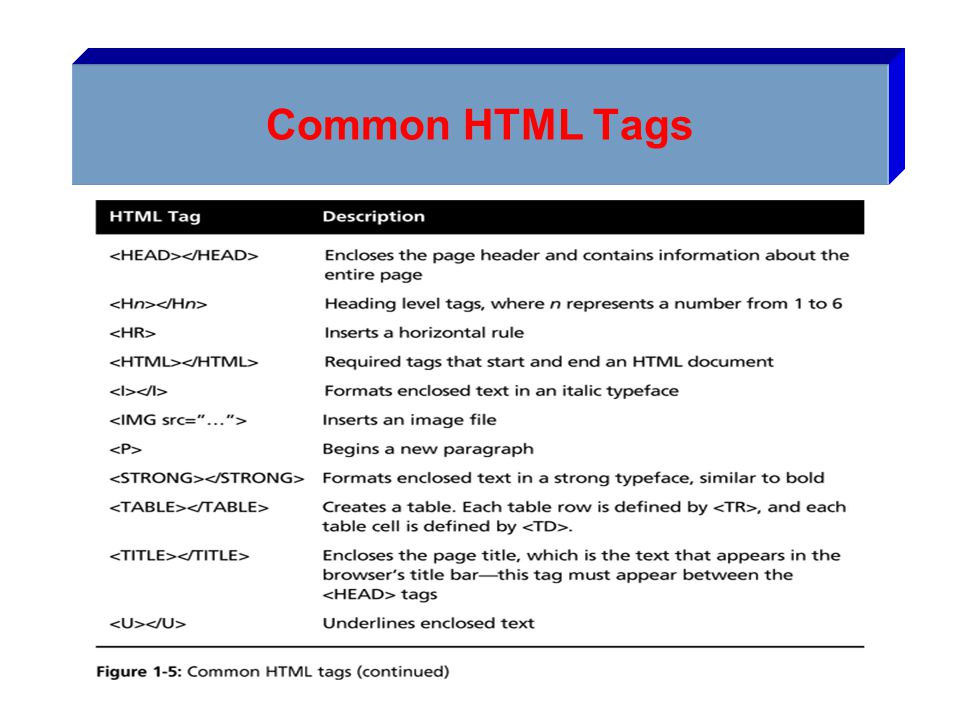 Common HTML Tags