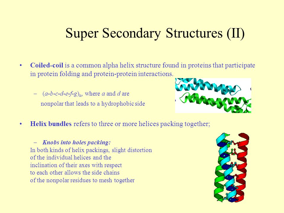 super secondary structure of protein ppt