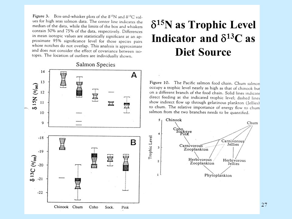 27  15 N as Trophic Level Indicator and  13 C as Diet Source