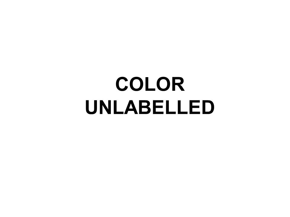 COLOR UNLABELLED