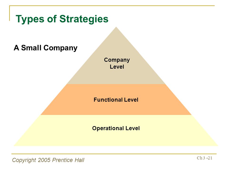 Copyright 2005 Prentice Hall Ch Types of Strategies Operational Level Functional Level Company Level A Small Company