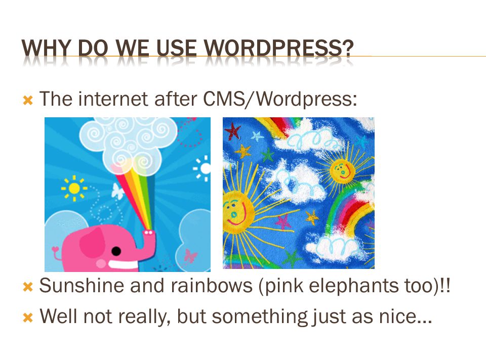  The internet after CMS/Wordpress:  Sunshine and rainbows (pink elephants too)!.