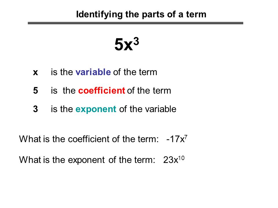 Identifying the parts of a term 5x 3 x is the variable of the term 5 is the coefficient of the term 3 is the exponent of the variable What is the coefficient of the term: -17x 7 What is the exponent of the term: 23x 10