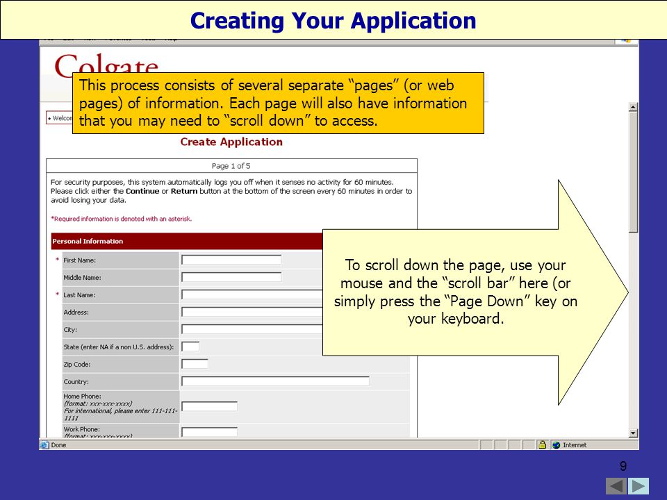 9 This process consists of several separate pages (or web pages) of information.