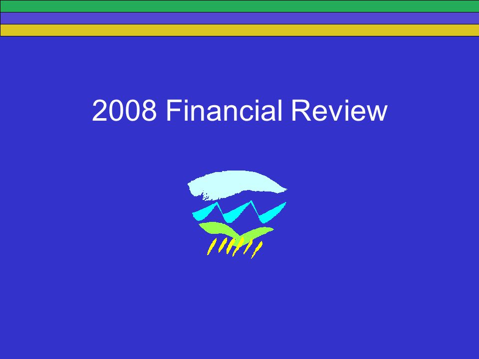 2008 Financial Review