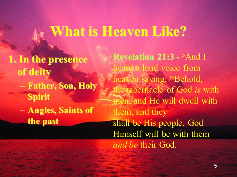 What Will Heaven Be Like?