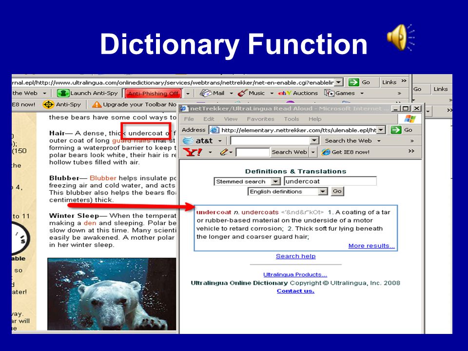 Dictionary Function