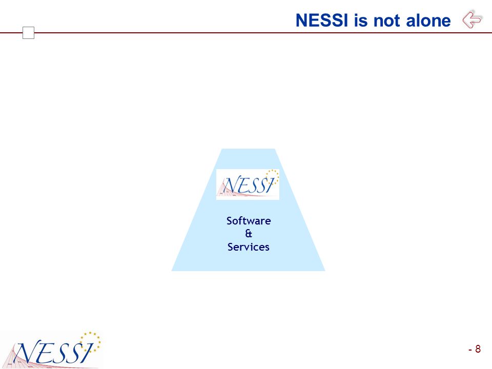 - 8 Software & Services NESSI is not alone