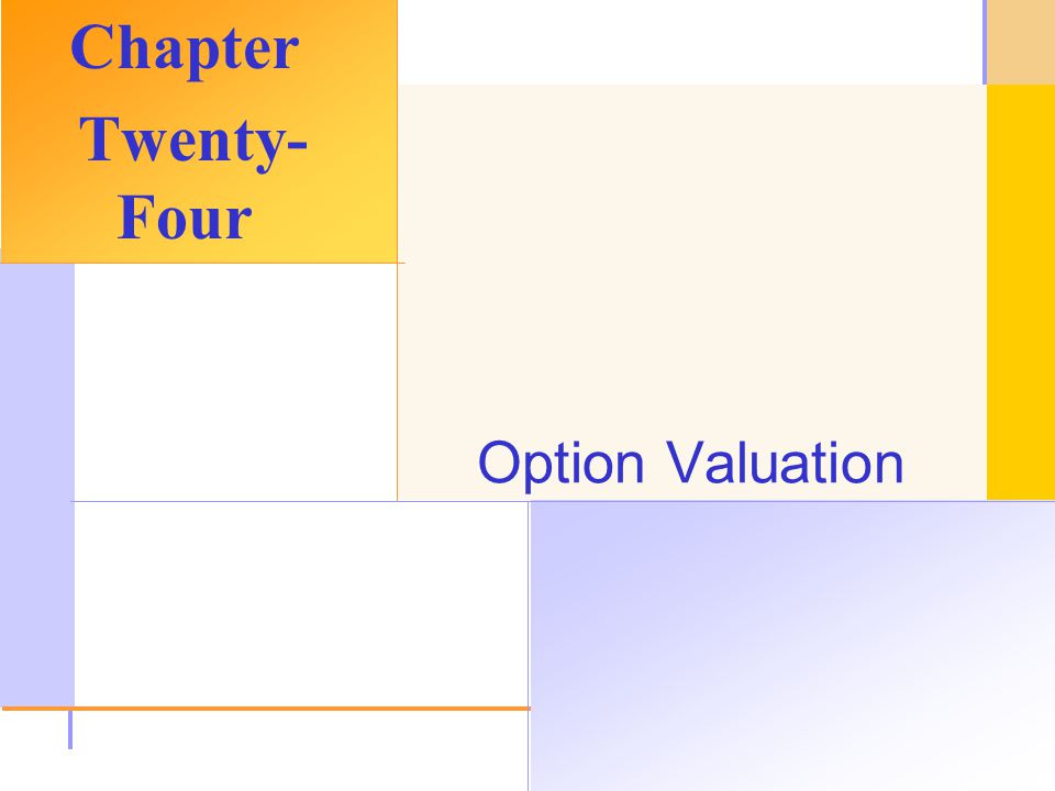 © 2003 The McGraw-Hill Companies, Inc. All rights reserved. Option Valuation Chapter Twenty- Four