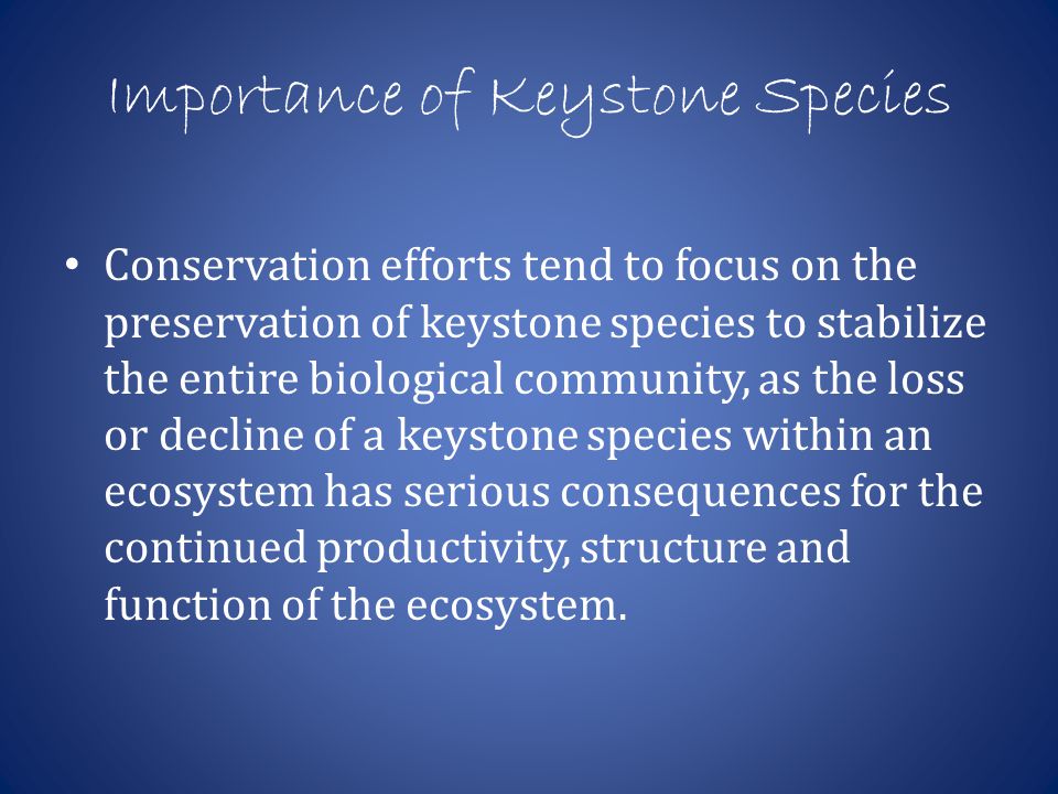 What Is a Keystone Species and Why Are They So Important? - Utopia