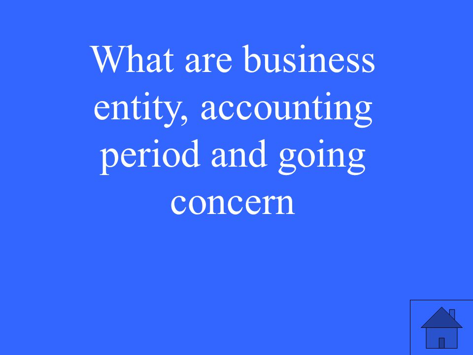 What are business entity, accounting period and going concern